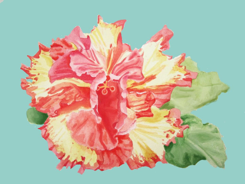 High Definition Double Hibiscus