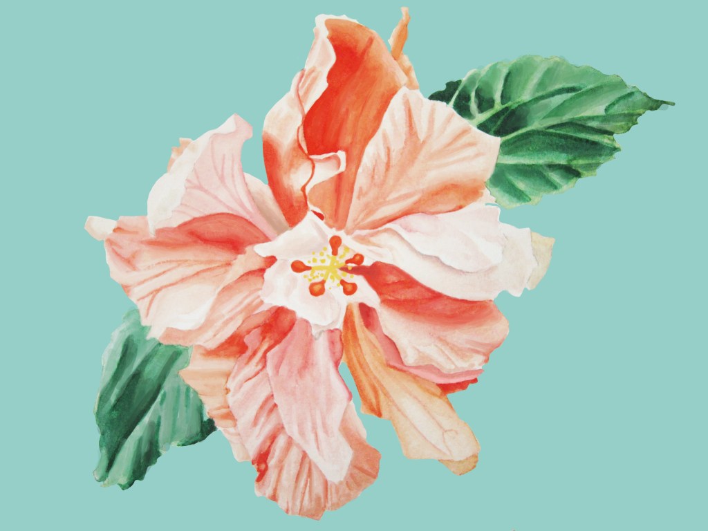 Double Orange Hibiscus